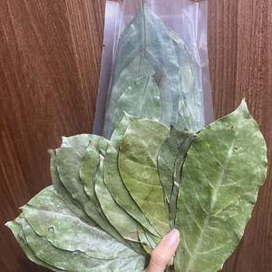 Hojas secas de Annona Muricata, un producto de protección de la salud, precio barato de VIETNAM - Product Image 2