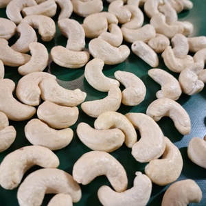 W240 noix de cajou Santigo WW240 noix de cajou service personnalisé disponible - Product Image 1