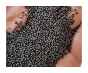 Suministro de fábrica Especias y hierbas individuales Tipo de procesamiento horneado Sabor original Color negro Semilla de albahaca seca - Product Image 1