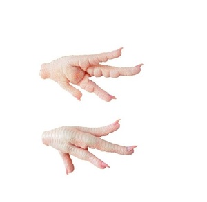 Pieds et pattes de poulet congelés certifiés HALAL de haute qualité, emballés sous vide, nutritifs, sans graisses trans, sans sucre - Product Image 6