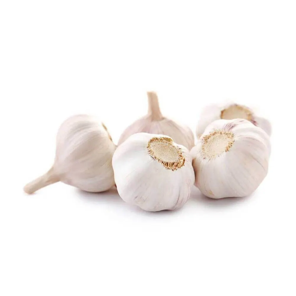 Bestseller Bio dehydrierter Knoblauch gehackte Lebensmittel qualität für das Spannen verwendet Herstellung Niedrigste Preise