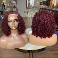 Pelucas de Cabello Humano al por Mayor, Pelucas de Cabello Humano Virgen, Pelucas con Cierre de Encaje 4X4 de 12 Pulgadas con Rizo Pixie SDD