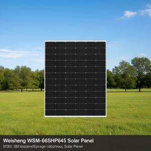 Panneau solaire Weisheng WSM-66SHP645 - Product Image 3