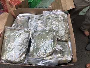 Feuilles de fruits séchées Graviola pour l'exportation-100% Feuilles de corossol séchées naturelles du Vietnam avec un prix compétitif Bon - Product Image 3