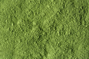 Vente en gros d'extrait d'herbe en poudre d'indigo sauvage cultivé en Inde - Product Image 2