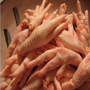 Patas de pollo de alta calidad, patas de pollo congelados Halal, frescas, venta al por mayor - Product Image 6