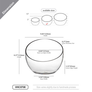 VHC0708 - Florero de Vidrio Transparente con Corte Inclinado Único - 8.25 - Product Image 3