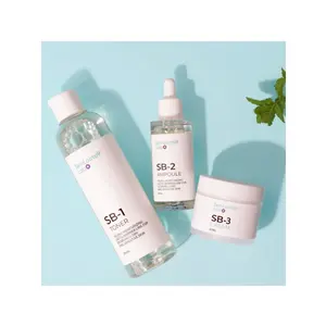 Korean High Quality Skincare Set Hot Selling Basic Skincare High Functional of Whitening and Anti-aging skincare product