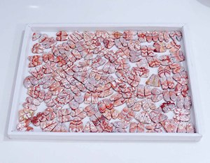 Exportateur indien de jaspe Rosetta, cabochon, pierre précieuse naturelle en vrac pour la fabrication de bijoux, élégants modèles de boucles d'oreilles, fabrication de bijoux - Product Image 4