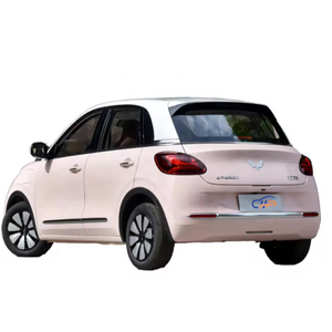 Mini SUV électrique de style Bingguo 2023, charge rapide, autonomie de 203 km, compact, nouvelle énergie, berline électrique pour usage privé - Product Image 1