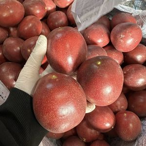 Maracuyá Fresca de Vietnam de Primera Calidad para Venta al por Mayor - KIM MINH INTERNATIONAL - Product Image 4