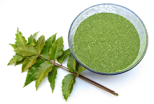 Polvo de Neem para Enjuague Bucal Natural e Higiene Bucal, Refrescante Bucal Herbal Ayurvédico y Polvo Fortalecedor de Encías - Product Image 6