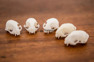 Tradebyd, elegante decoración esculpida de animales de resina, hermosas figuritas hechas a mano para interiores de oficina en casa de lujo - Product Image 2