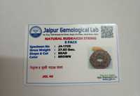 Une face ek Mukhi Rudraksha Certifié Original Népalais 1 Mukhi Kaju Rudraksh Naturel une Face Rudraksha Pendentif Certificat