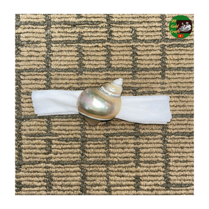 Handmade Seashell Napkin <b>Rings</b>, Vietnam Crystal Seashell Napkin <b>Rings</b> Rustic Tropical Charm for Restaurant Dining Best Price - Product Image 1
