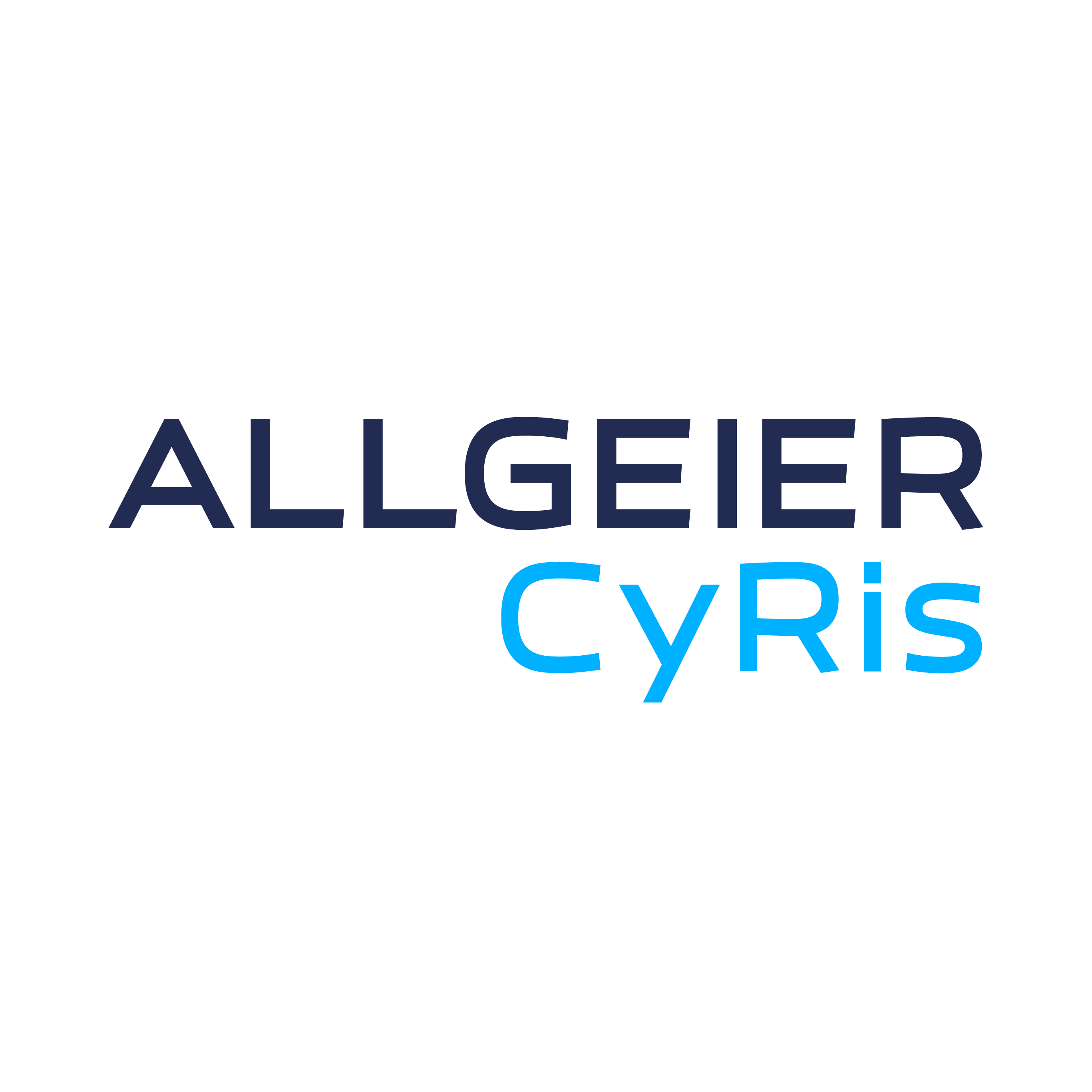 Allgeier CyRis GmbH logo