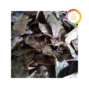 ผู้จัดจำหน่ายใบทุเรียนเทศแห้งจากเวียดนามผู้ส่งออกโดยตรงที่มีฉลาก OEM/เอกชนสำหรับตลาดโลก - Product Image 2