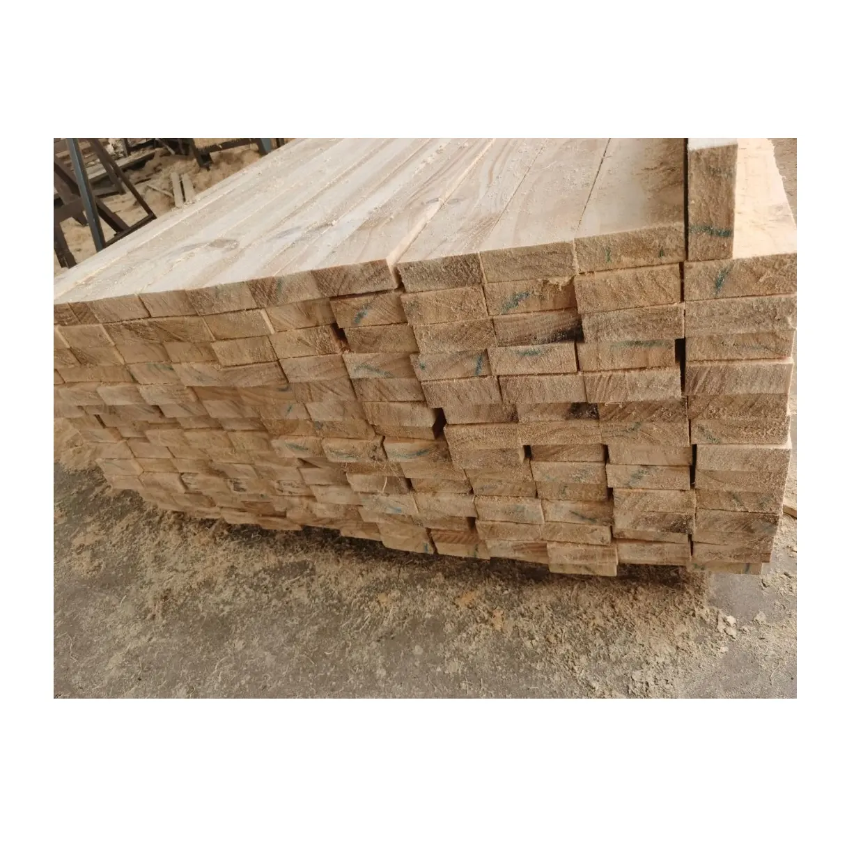 Kayu pinus alami untuk kemasan | Kayu pinus Oak kayu