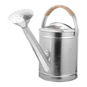 บัวรดน้ำโลหะเหล็กแฮนด์เมดดีไซน์ไม่เหมือนใครผู้ผลิตกระป๋องรดน้ำพืชสีเขียวออกแบบได้ตามต้องการ - Product Image 3