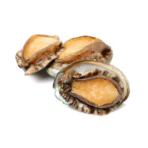 Abulón marino fresco a precio de fábrica, suministrado para venta al por mayor y grandes pedidos - Product Image 3