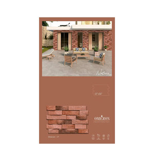 Carreaux muraux en céramique de qualité supérieure pour la décoration intérieure disponibles au prix de gros auprès d'un fournisseur indien - Product Image 1