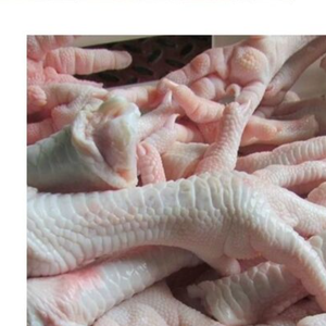 ตีนไก่ / ตีนไก่แช่แข็งจากบราซิล / ปีกไก่และเท้าไก่สด พร้อมส่งออก - Product Image 1