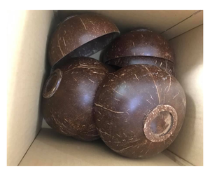 ชามมะพร้าวแบบยั่งยืนช่างฝีมือเวียดนามเหมาะสำหรับการรับประทานอาหารแบบเป็นมิตรต่อสิ่งแวดล้อมซื้อชามกะลามะพร้าวส่งออกจำนวนมากทั่วโลก - Product Image 1