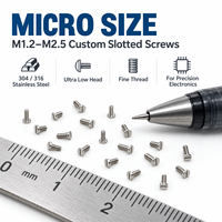 Vis micro en acier inoxydable sur mesure 304 316 M1.2 M1.4 M1.6 M2 M2.5 à tête ultra basse fendue, petites vis mécaniques pour l'électronique