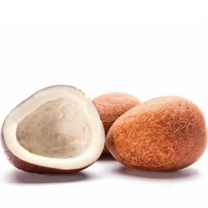 COPRA DE COCO DE QUALITÉ EXPORT DU VIETNAM - PRIX COMPÉTITIF - Product Image 1