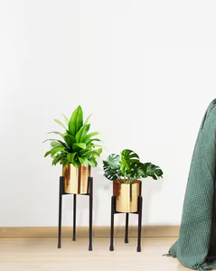 Maceta dorada de acero inoxidable con soporte, macetas redondas modernas para uso en interiores y exteriores, maceta decorativa de hierro para jardín para Patio - Product Image 3