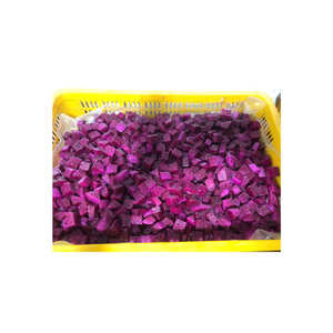 Approvisionnement en vrac de fruits du dragon congelés avec une durée de conservation prolongée adaptée aux applications et distributeurs de l'industrie alimentaire - Product Image 6