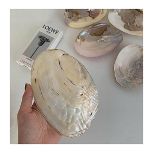 Tranches de coquille de nacre du Vietnam de nacre de qualité supérieure pour la décoration de meubles de bijoux artisanaux et la production d'incrustation - Product Image 5