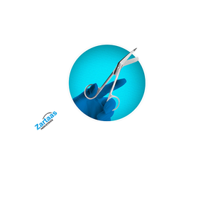 Lister Ciseaux à pansement pour infirmières en acier inoxydable chirurgical parfait pour les ambulanciers paramédicaux tailles 3.5 pouces - Product Image 3