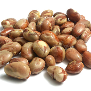 High-quality Jackfruit <b>Nut</b> Rich in Organic Health Care Supplement Organic Jackfruit <b>Nut</b> - Product Image 1