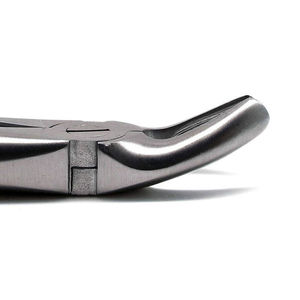 Forceps d'extraction dentaire de conception OEM, instrument manuel en acier de classe I avec logo personnalisé, prix direct d'usine par SurgiRight - Product Image 4