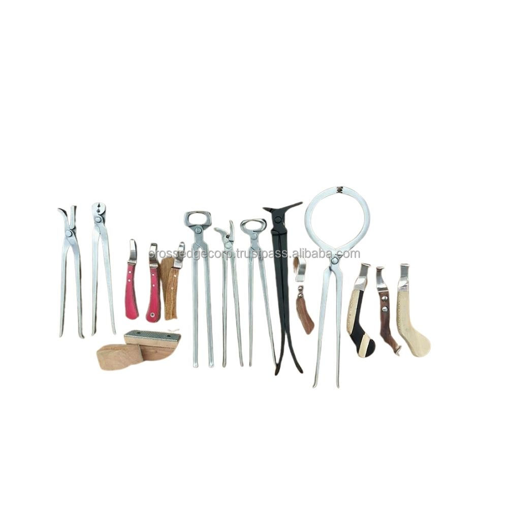 Kit D'outils De Maréchal-ferrant Professionnel - Pince Et Râpe Pour Entretien Des Sabots