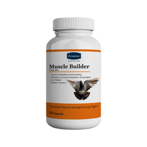 Capsule de renforcement musculaire de 1,8 kg pour oiseaux, fournitures de qualité supérieure - Product Image 1