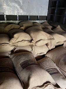 Proveedor Vietnamita: Granos de Café Verde Arábica S16, Totalmente Lavados, Grado 1, Cosecha 25-26, Empaque a Granel 60 kg/saco de yute - Product Image 5