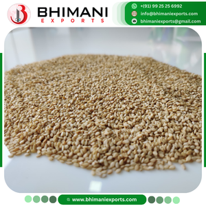 Graines de sésame blanc de qualité supérieure, non OGM, fraîches de l'usine 2025, 100% naturelles, certifiées APEDA, origine Inde, durée de conservation de 12 mois, vente en gros - Product Image 3