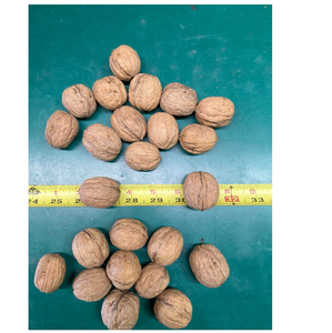 Nueces sin Cáscara de Primera Calidad - Product Image 6