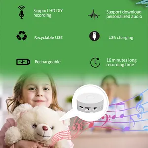 Pequeña grabadora de voz USB Descargas Caja de sonido con chip de sonido grabable para juguetes de peluche antiguos y chip de música para juguetes