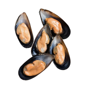 Mejillones Congelados con Concha / Carne de Mejillón Congelada con Concha (Mariscos) al por Mayor - ¡Gran Venta! - Product Image 3