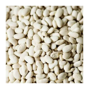 Para la venta Frijoles blancos naturales Frijoles de azúcar blanco Nueva cosecha Frijoles de riñón blancos a precio barato - Product Image 1
