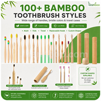 Fabricant et fournisseur de brosses à dents en bambou biodégradables à poils doux avec manche en bois écologique
