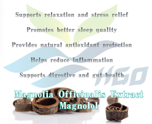 Hgo สารสกัดจากแมกโนเลีย officinalis (เกรดอาหาร) 90% แมกโนเลีย (สารสกัดมาตรฐาน) - Product Image 5