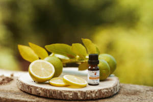 Huile Essentielle Liquide 100% Pure de Feuille de Mandravasarotra SARO Cinnamosma Fragrans, Note Boisée-Épicée, Durée de Conservation de 3 Ans - Product Image 4