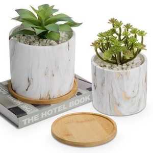 MACETAS FLORES - Product Image 6