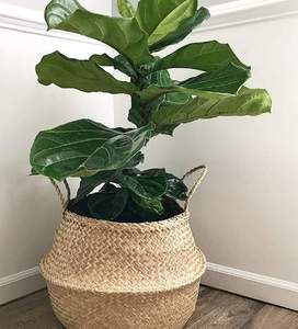 ตะกร้าหญ้าทะเลธรรมชาติคุณภาพสูงราคาร้อนตะกร้าทอหญ้าทะเลจากเวียดนาม - Product Image 5