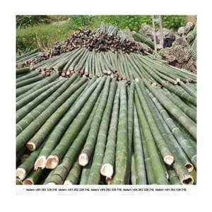 Directo de fábrica 2024 Poste de bambú sólido para techos Cercado Construcción de enrejado Tubo de poste grande de alta calidad Mejor precio al por mayor - Product Image 3