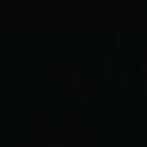 เสื้อยืดสีดำเรียบง่ายสำหรับผู้ชาย แขนสั้น ผ้าฝ้ายนุ่ม สวมใส่สบาย เหมาะสำหรับใส่ในชีวิตประจำวัน สไตล์สตรีทแวร์ - Product Image 5